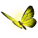 Radiant Butterfly