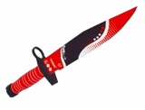 Bayonet Racer