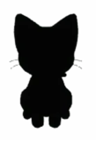 Black Cat