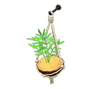 coconut wall planter