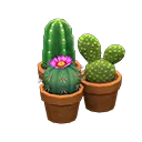 mini-cactus set