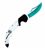 Falchion Chosen