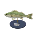 sea bass model