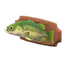 mounted black bass