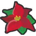 Poinsettia