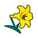 yellow lilies