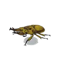 golden stag model
