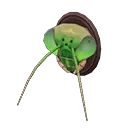 mantis-head model
