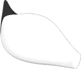 Ermine Tail