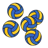 Volleyballs