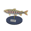 cherry salmon model