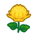 yellow mums