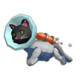 Rocket Cat