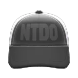 mesh cap