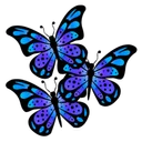 Butterflies