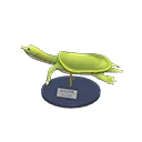 soft-shelled turtle model