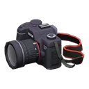 SLR camera