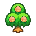 peach tree