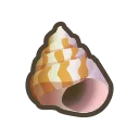 sea snail