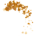 Leafy Trail