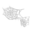 spider web