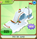 Pet Ski Jump