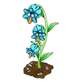 Mad Flower