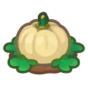white-pumpkin plant
