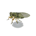 walker cicada model