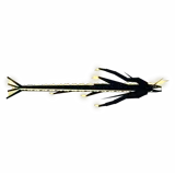 Northstar Serpent
