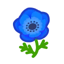 blue windflowers
