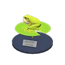 frog model