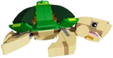 Stud Turtle