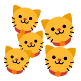 Cats