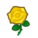 yellow roses