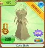 Corn Stalks