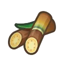 sugarcane