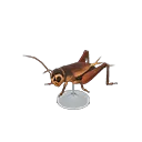 cricket model