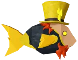 Sunny O'Coin
