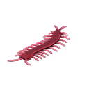 toy centipede