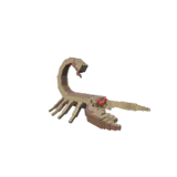 Deathstalker Scorpion