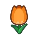 orange tulips