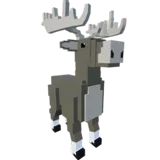 Moose