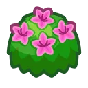 pink-azalea bush