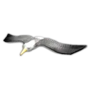 Seagull