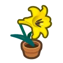yellow-lily plant