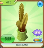 Tall Cactus