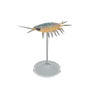 wharf roach model