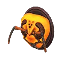 wasp-head model