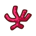 coral